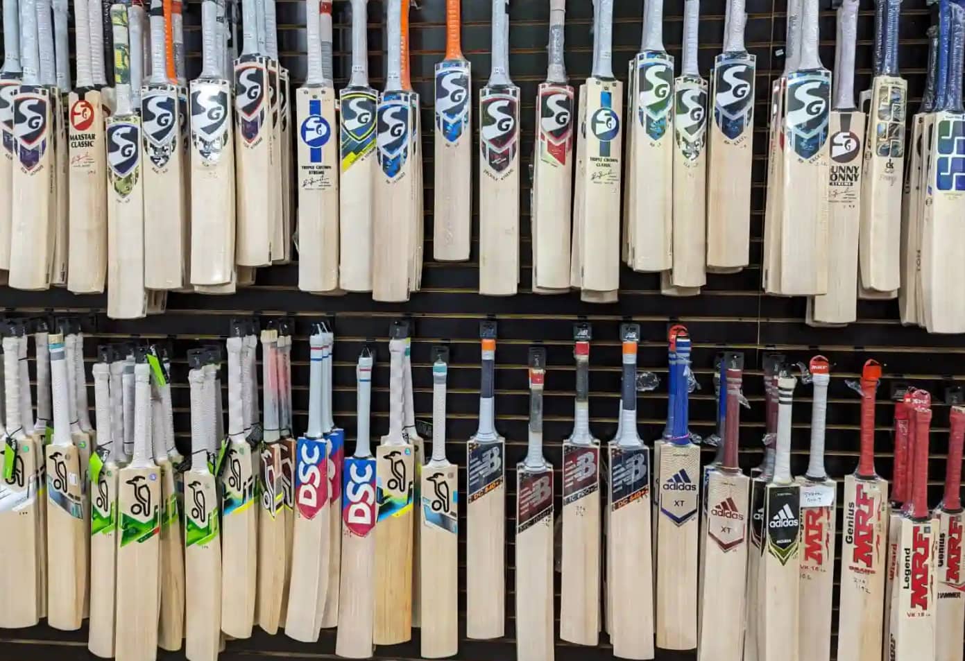 Kashmir Willow vs English Willow